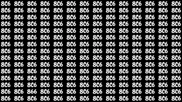 Only Extra Sharp Eyes Can Find the Number 866 in 12 Secs