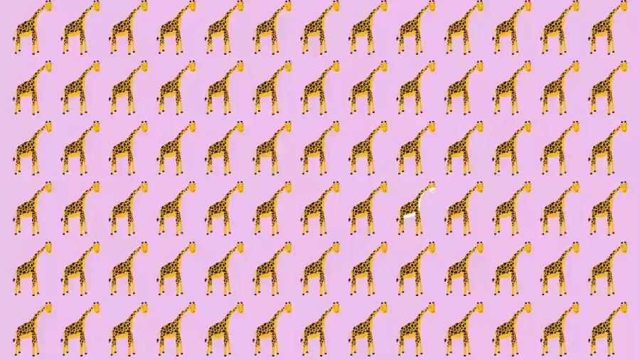 Optical Illusion Challenge: If you have Eagle Eyes find the Odd Giraffe in 15 Seconds