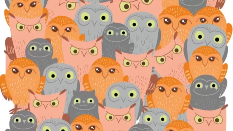 Optical Illusion Visual Test: If you have Sharp Eyes Spot The Cat Among These Owls In Less than 12 Seconds