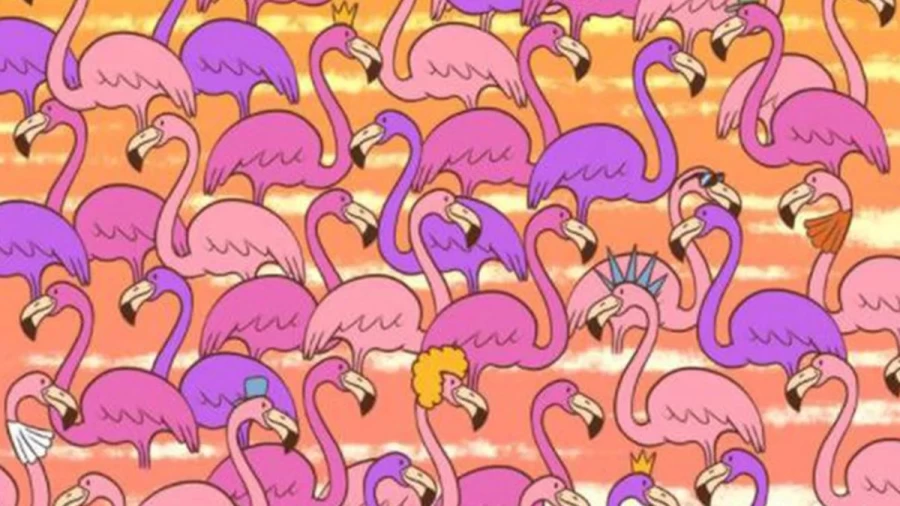 Valentines Day Brain Teaser: Can You Find The Hidden Heart Among Flamingos In 14 Secs?