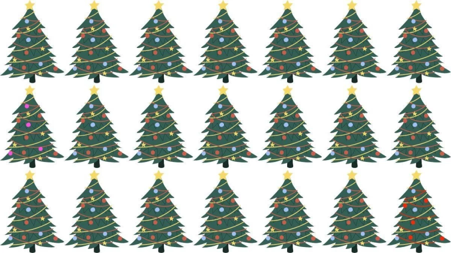 How Many Christmas Trees Can You Note That Does Not Fit In This Group? Brain Teaser Eye Test
